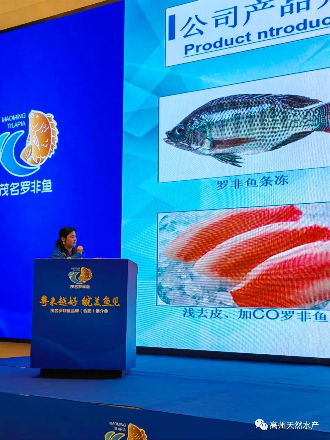 1729699274448803.jpg 7.jpg