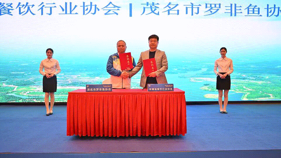 1729699322196365.gif 10.gif