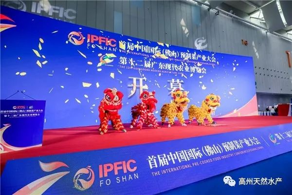 1729699589497104.jpg 2.jpg