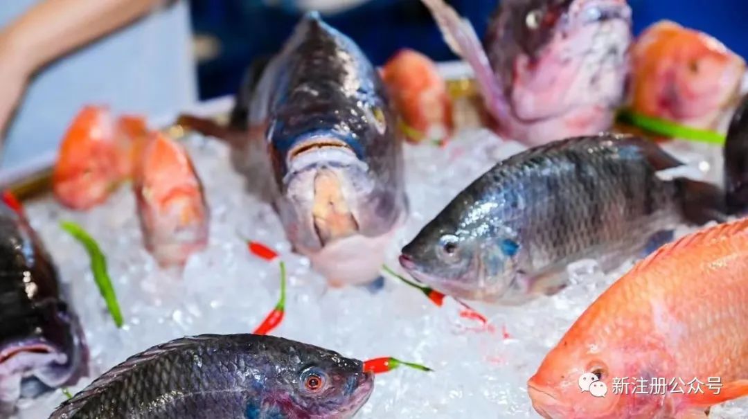 1729699705104765.jpg 2.jpg